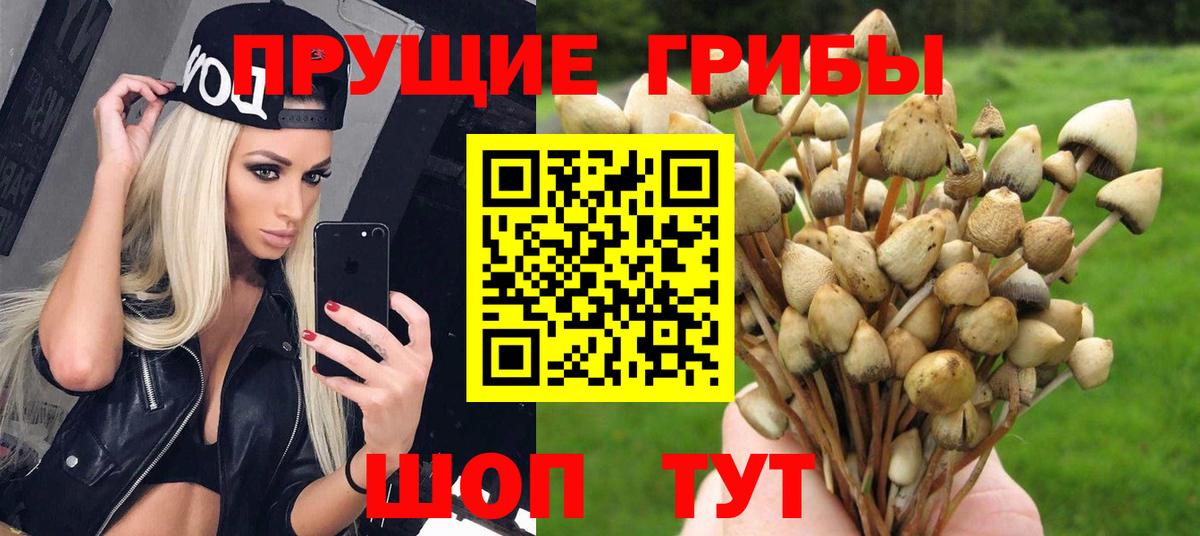 купить   Вход с VPN  Ступино  Галлюциногенные грибы GOLDEN TEACHER 